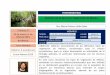 Curriculum brevisbios.biologia.umich.mx/intersemestrales/19_19/... · Me ocupo en el desarrollo de un estudio sobre la Biogeografía del género Quercus en Michoacán; ... Instalaciones
