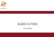 Presentación de PowerPoint - Arequipa Region · 2018-10-23 · Mejoramiento y ampliación de la frontera agrícola optimizando los recursos hídricos de la Sub Cuenca del Río Arma