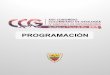 PROGRAMACIÓNsociedadcolombianadegeologia.org/gallery/programa_final.pdf · 2019-08-11 · Perspectivas de la industria minero energética en el marco de la ... TRANSFORMANTE DESDE