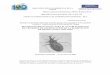 REUNION INTERNACIONAL PARA EL ESTABLECIMIENTO DE …ops-uruguay.bvsalud.org/pdf/chagas08.pdf3 I. Antecedentes Rhodnius prolixus (Stal, 1859) es un insecto hematófago del orden Hemiptera,