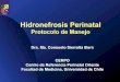 Hidronefrosis Perinata - CERPOHidronefrosis Antenata • Incidencia ! 1-5% de embarazos. Resumen de Consenso en Imágenes Fetales del NICHD • Dilatación anormal del tracto urinario