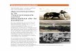 Documentación - La tauromaquia como cultura...productivas, incluyendo la crianza y selección del toro de lidia, que confluyen en la corrida de toros moderna y el arte de lidiar,