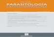 Revista PL SEPTIEMBRE 2016sociedadchilenaparasitologia.cl/wp-content/uploads/2018/04/PLA-65-2.pdf · núcleos, mitocondria, aparato de Golgi y retículo endoplásmico (Zierdt 1991)
