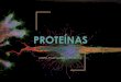 PROTEÍNAS · se repiten en muchos tipos de proteínas y se consideran como ... porfirinas (anillo tetrapirrólico y un catión) como el grupo Hemo que contiene Fe2+ (ferroso) de