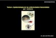 Tema 4. Epidemiología de las enfermedades … 4 - Epidemiologia.pdfEpidemiología de las enfermedades transmitidas por vectores Dr. José Luís Pérez Bote Entomología Médica EPIDEMIOLOGÍA