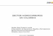 SECTOR HIDROCARBUROS EN COLOMBIA - IMF · 2014-05-28 · 17 . Gas . Las reservas totales de gas a 31 de diciembre de 2012 fueron 7.0 TPC. Reservas/Producción (R/P) de . 16,6 años