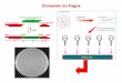 Clonación en Fagos - depa.fquim.unam.mxdepa.fquim.unam.mx/amyd/archivero/24IngenGenet2_23748.pdf · La tecnología de DNA recombinante genera herramientas para estudiar los genes