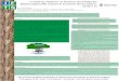 El “árbol de problemas” en Seminario de Inves gación ...eprints.rclis.org/33274/1/IFTS.pdf · La implementación del árbol de problemas, sirvió como material didác co ú