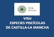 Visu Especies Piscícolas de Castilla-La Mancha · ESPECIES CON APROVECHAMIENTO PISCÍCOLA EN CASTILLA-LA MANCHA Salmo trutta. Trucha común