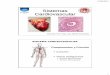 Sistemas Cardiovascular - Webnodefiles.es-fu-no-cur.webnode.com.uy/200000077-306b531653... · 2014-12-03 · 31/08/2014 2 Bomba: Impulsar la sangre a través del aparato circulatorio