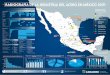 Radiografia de la Industria del Acero en Mexico 2019...P a l anqui l l a P l a c a (Hoja - Rollo ) Lámina C a lien t e Lámina Fría Lámina G a l v aniz a da C r om a da & Es t añ