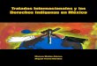Tratados Internacionales y los Derechos Indígenas en México · nuestro país, estableció un nuevo paradigma en materia de derecho constitucional, derechos humanos y derechos indígenas