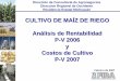 CULTIVO DE MAÍZ DE RIEGO Análisis de Rentabilidad P-V 2006 ... · 7. Participación de FIRA en la producción de maíz. 8. Resultados de las encuestas de rentabilidad ciclo P-V