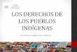 LOS DERECHOS DE LOS PUEBLOS INDÍGENAS - gob.mx · Constitución Política de los Estados Unidos Mexicanos México 68 Pueblos indígenas 11 Familias lingüísticas 364 Variantes lingüísticas