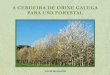 A CERDEIRA DE ORIXE GALEGA PARA USO FORESTAL · O valor ecolóxico dos seus froitos é importante. Atopamos abundantes nomes de lugares e parroquias galegos que indican un pasado