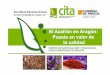El Azafrán en Aragón: Puesta en valor de la calidad · Puesta en valor de la calidad del azafrán (Crocus sativus L.) producido en Teruel 1. Estado sanitario del material vegetal