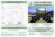 SCOUTING DEPORTIVO - La Lantejuela · 2017-02-04 · La Real Federación Andaluza de Fútbol de ámbito Autonómico, a través de su centro de formación (CEDIFA) convoca un curso