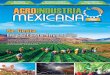 Una Potencia Aprovechan la Energía Renovable AGROINDUSTRIAenlacesinstitucionales.org/wp-content/uploads/2016/... · McCormick Tractores de México Marco Herrejón Director General