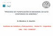 PROCESO DE PURIFICACIÓN DE BIODIESEL DE ALTO CONTENIDO …asaga.org.ar/descargas/material/SESION_BIOE/CFP039R_Mendow.pdf · INTRODUCCIÓN ¿Por que el biodiesel puede tener alto