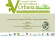 Presentación de PowerPoint...LAS FORMAS DE LA RAIZ DE ACUERDO A LA COPA V Encuentro Nacional de Silvicultura Urbana: Hacia el manejo sostenible del arbolado urbano La vida se adapta