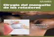 Cirugía del manguito de los rotadores (PDF) · La función del manguito de los rotadores Cuando su manguito de los rotadores está sano, su hombro le permite hacer muchos movimientos
