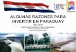 ALGUNAS RAZONES PARA INVERTIR EN PARAGUAYmag.gov.py/dgp/INVERSION EN PARAGUAY.pdf · 2010-11-04 · Inspección previa al embarque: no existe en la actualidad ningún sistema alternativo