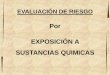 Por EXPOSICIÓN A SUSTANCIAS QUIMICASquimicos.minambiente.gov.co/.../3_riesgo_sustancias_quimicas_c_gotelli.pdf · Propiedades físicas y químicas ... • Ingestión de aguas o alimentos