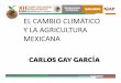 EL CAMBIO CLIMÁTICO Y LA AGRICULTURA MEXICANAinfosiap.siap.gob.mx/opt/foroexpectativas/presentaciones2012/C_GAY.pdf · Situación actual e impactos previsibles del cambio climático