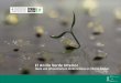 4PAISAIAREN HIRI FOROA FORO URBANO DE PAISAJE … · marinos que regulan de forma natural los caudales de aguas pluviales, las temperaturas, el riesgo de inundaciones y la calidad
