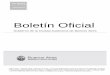 Boletín Oficial - Buenos Aires · Boletín Oficial Gobierno de la Ciudad Autónoma de Buenos Aires Nº Boletín Oficial - Publicación oficial - Ordenanza Nº 33.701 - Ley Nº 2739