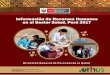 Información de Recursos Humanos en el Sector …bvs.minsa.gob.pe/local/MINSA/4559.pdfInformación de Recursos Humanos Sector Salud, Perú 2017 Dirección General de Personal de la