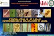 SITUACION ACTUAL DE LAS PLAGAS Y ENFERMEDADES DE LA …atamexico.com.mx/wp-content/uploads/2018/03/PONENCIA-SENASICA-02.pdf · Las plagas comunes e importantes en el cultivo de la