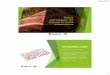 Valor Agregado en Carne Fresca - resoco.com · consciente de que la carne no es “Carne Fresca” sino “Carne tratada o procesada” Se vende por lo general con las siguientes