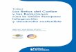 Los Retos del Caribe y las Relaciones con la Unión Europea ... · Taller Los Retos del Caribe y las Relaciones con la Unión Europea: Integración y desarrollo sostenible CONTEXTO
