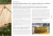 apiculturaantiga.associaciolera.org/recursos/reportatges... · considera que la colònia ja és prou forta per pro - duir, cal col·locar-li l’alça, que és on posaran la mel