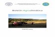 Boletín Agroclimático - Blueberries Consulting · prolongación de estas altas temperaturas en los valles de la zona sur (entre la IX y X Región). En cuanto a los valores mínimos