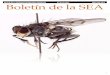BOLETÍN DE LA SOCIEDAD ENTOMOLÓGICA …seargentina.myspecies.info/sites/seargentina.myspecies...técnicas de mitigación y control de estos tipos de parasitismo. Dr. Darío Manzoli: