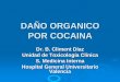 La visión global de la persona enferma - DAÑO ORGANICO POR COCAINA · 2015-11-10 · COCAINA ¾Puesto que nos encontramos entre los primeros puestos en consumo de cocaína la consecuencia