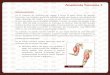 Anatomía humana I - krismar-educa.com.mx · Anatomía humana I Material creado por Krismar Computación, S. de R.L. de C.V. 1 Sistema muscular Es el conjunto de músculos del cuerpo