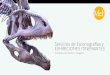 Servicios de Escenografías y EXHIBICIONES ITINERANTESmef.org.ar/pdf/ExhicionesMEF_2019.pdfmás interesante de este dinosaurio: las espinas de las vértebras del cuello son muy altas