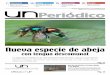 con lengua descomunal - Universidad Nacional de Colombiaunperiodico.unal.edu.co/fileadmin/user_upload/UNPeriodico145.pdf · La desecación de las laderas del afluente para relle-