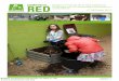 Boletín trimestral de la Red Estatal de Entidades por el … · El compost obtenido, más de 1.500 litros de excelente calidad, quedó a disposición del servicio de jardinería