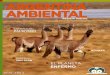 EL PLANETA ENFERMO - Argentina Ambientalargentinambiental.com/wp-content/uploads/pdf/RevArgAmb74.pdf · 2016-09-25 · letales para aquellas especies que, como la humana, se han puesto
