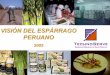 VISIÓN DEL ESPÁRRAGO PERUANOs7e22ce2a65482340.jimcontent.com/download/version...6.5 millones de tm en el año 2004, de las cuales 4.05 millones de tm se destinaron a la industria