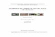 Escenarios de cambios de uso en el suelo - Vida Silvestre Uruguayvidasilvestre.org.uy/.../05/Escenarios-uso-del-suelo.pdf · 2018-10-18 · el uso del suelo. La construcción de escenarios