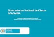 Observatorios Nacional de Cáncer COLOMBIA · 2013-12-11 · 20 Proporción de mujeres con Citología Cervico Uterina Anormal que cumplen el estándar de 30 días para la toma de
