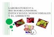 LABORATORIO - Recinto Universitario de Mayagüezacademic.uprm.edu/lrios/3725/Ejercicio5.pdflisis o en forma de burbujas de la membrana externa, impregnadas con LPS. Enterobacterias: