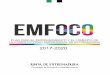 Plan EMFOCO · términos de eficacia y eficiencia. De forma complementaria hay que desarrollar la iniciativa y el espíritu empresarial en la sociedad extremeña, en particular entre