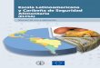 Escala Latinoamericana y Caribeña de Seguridad Alimentaria ...congratulamos por la elaboración y publicación del Manual de la Escala Latinoamericana y Ca-ribeña de Seguridad Alimentaria