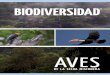 BIODIVERSIDAD - bosques.org.ar · Esta séptima edición de la revista nos sorprende con un componente de la biodiversidad con el que, seguramente, todos nos hayamos encontrado alguna
